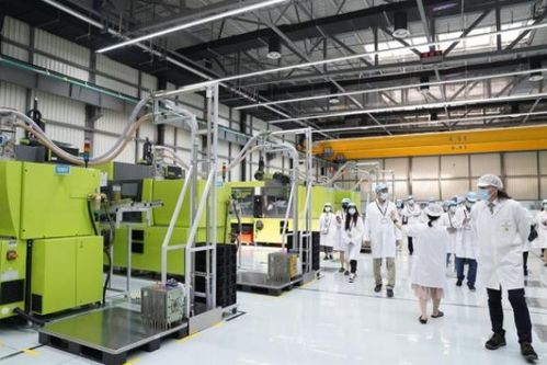 以質量和嚴謹著稱的德企，為何落戶臨港經濟技術開發區？